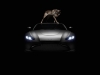Aston Martin Vantage - Foto Rankin