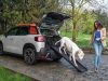 Citroen - Pet a Porter