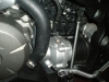 honda_party_08