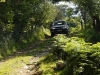 Land Rover Range Rover Evoque nuove foto ufficiali