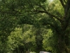 Land Rover Range Rover Evoque nuove foto ufficiali