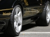 Lotus Esprit by Cam-Shaft