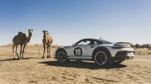 Porsche 911 Dakar set grafiche rally