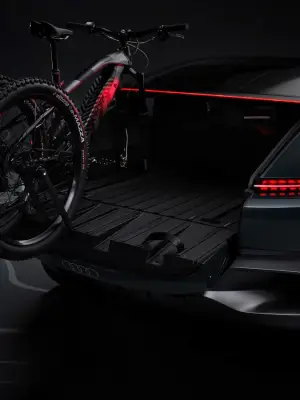 Audi Activesphere Concept - 19