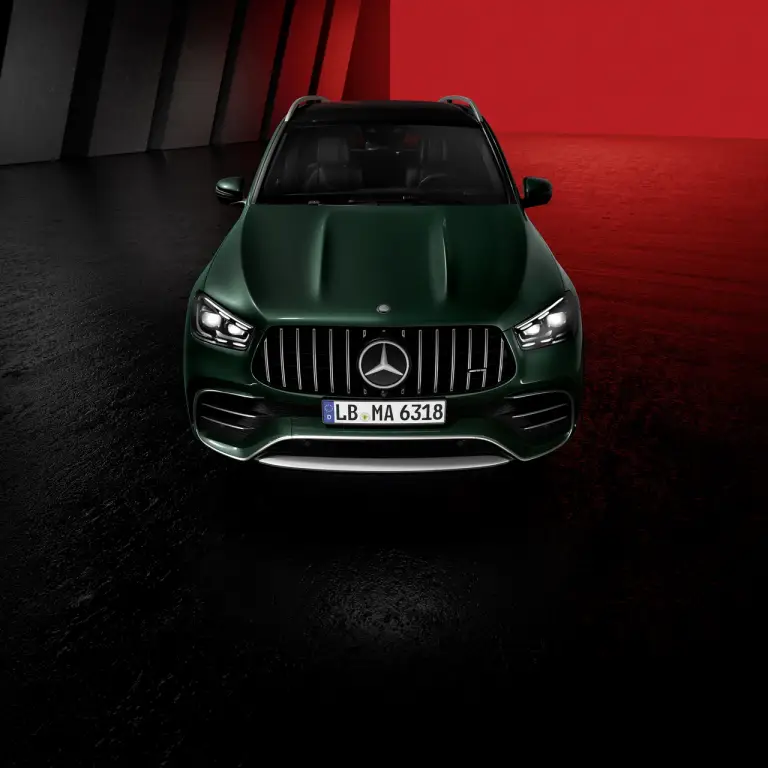 Mercedes GLE e GLE Coupe 2024 - 40