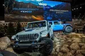 Jeep Wrangler Rubicon 20th Anniversary Edition - 16