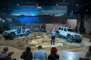 Jeep Wrangler Rubicon 20th Anniversary Edition - 5