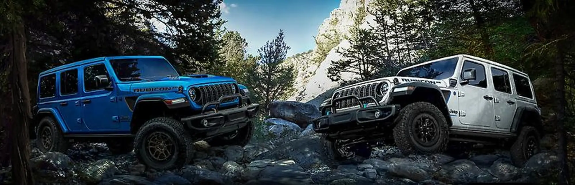 Jeep Wrangler Rubicon 20th Anniversary Edition - 1