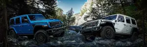 Jeep Wrangler Rubicon 20th Anniversary Edition - 1