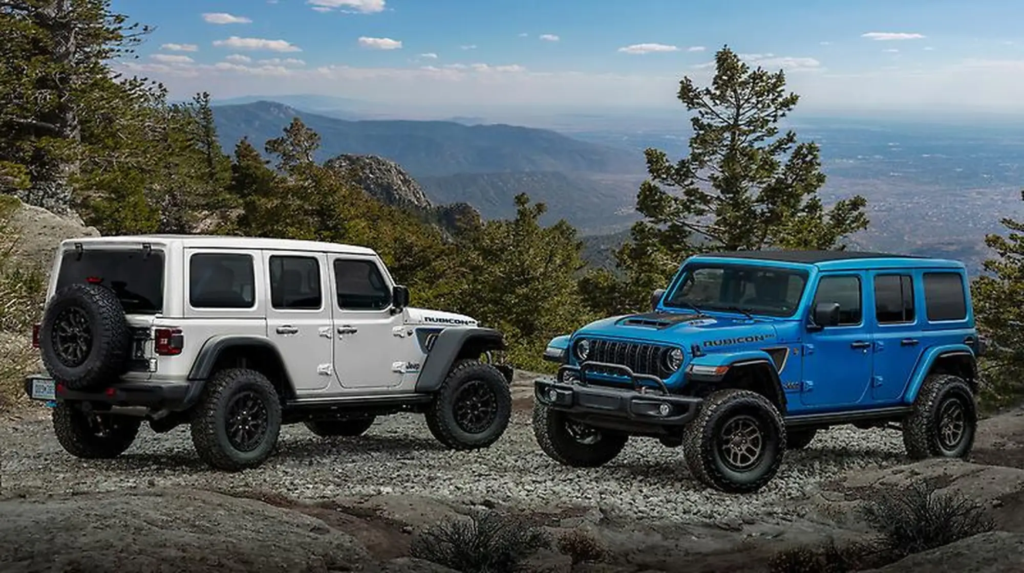 Jeep Wrangler Rubicon 20th Anniversary Edition - 15