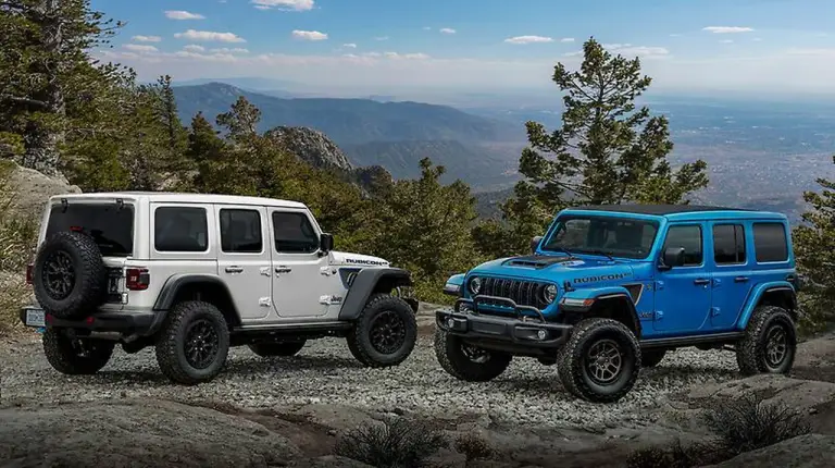 Jeep Wrangler Rubicon 20th Anniversary Edition - 15