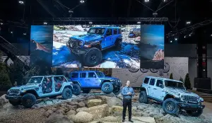 Jeep Wrangler Rubicon 20th Anniversary Edition - 9