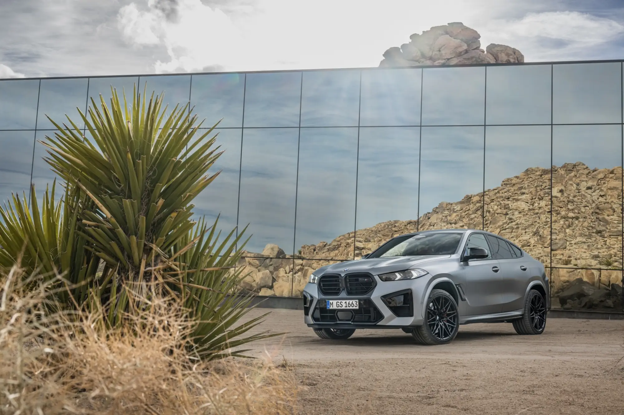 BMW X5 M Competition ed X6 M Competition 2024 - 119