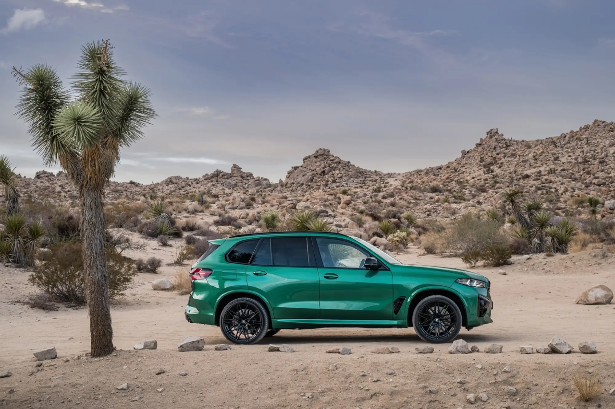 BMW X5 M Competition ed X6 M Competition 2024 - 48