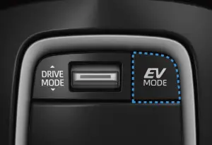 Suzuki Swace Hybrid 2023 - 9