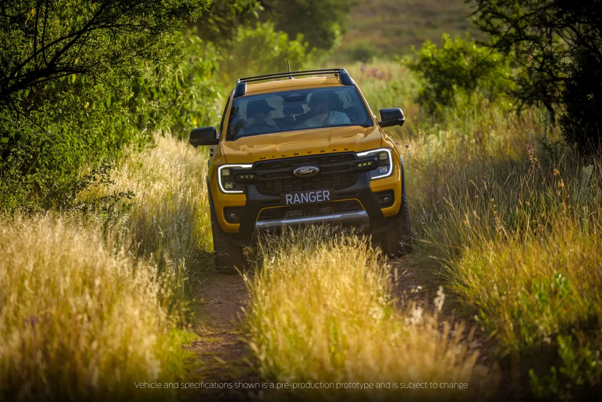 Ford Ranger Wildtrak X - 19