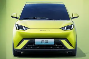 BYD Seagull