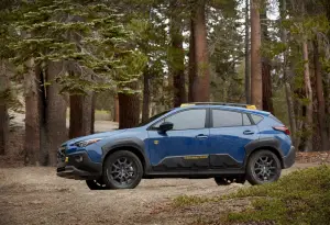 Subaru Crosstrek Wilderness