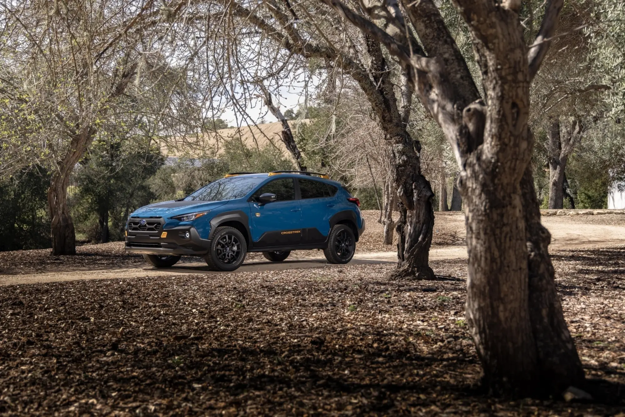 Subaru Crosstrek Wilderness - 30