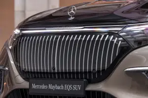 Mercedes-Maybach EQS SUV - Foto ufficiali