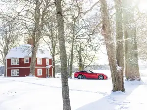 Ferrari SA Aperta 2011 asta