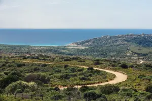 Toyota Gazoo Racing WRT Rally Italia Sardegna 2023