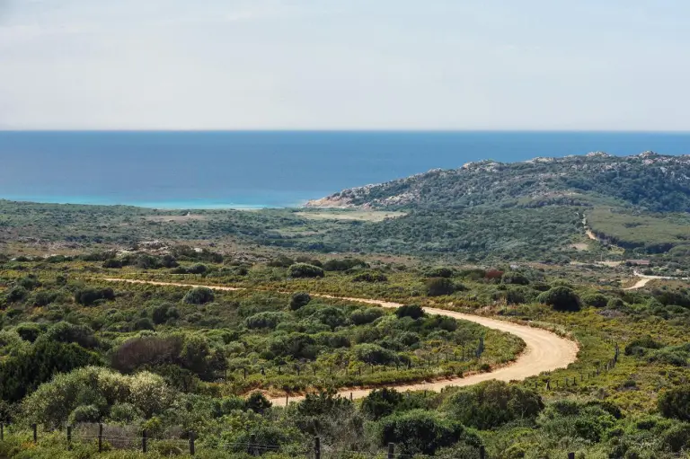 Toyota Gazoo Racing WRT Rally Italia Sardegna 2023 - 2