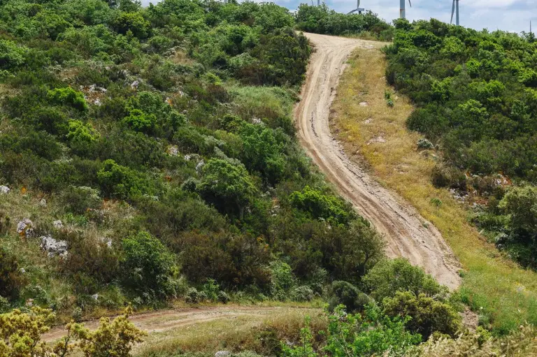 Toyota Gazoo Racing WRT Rally Italia Sardegna 2023 - 8