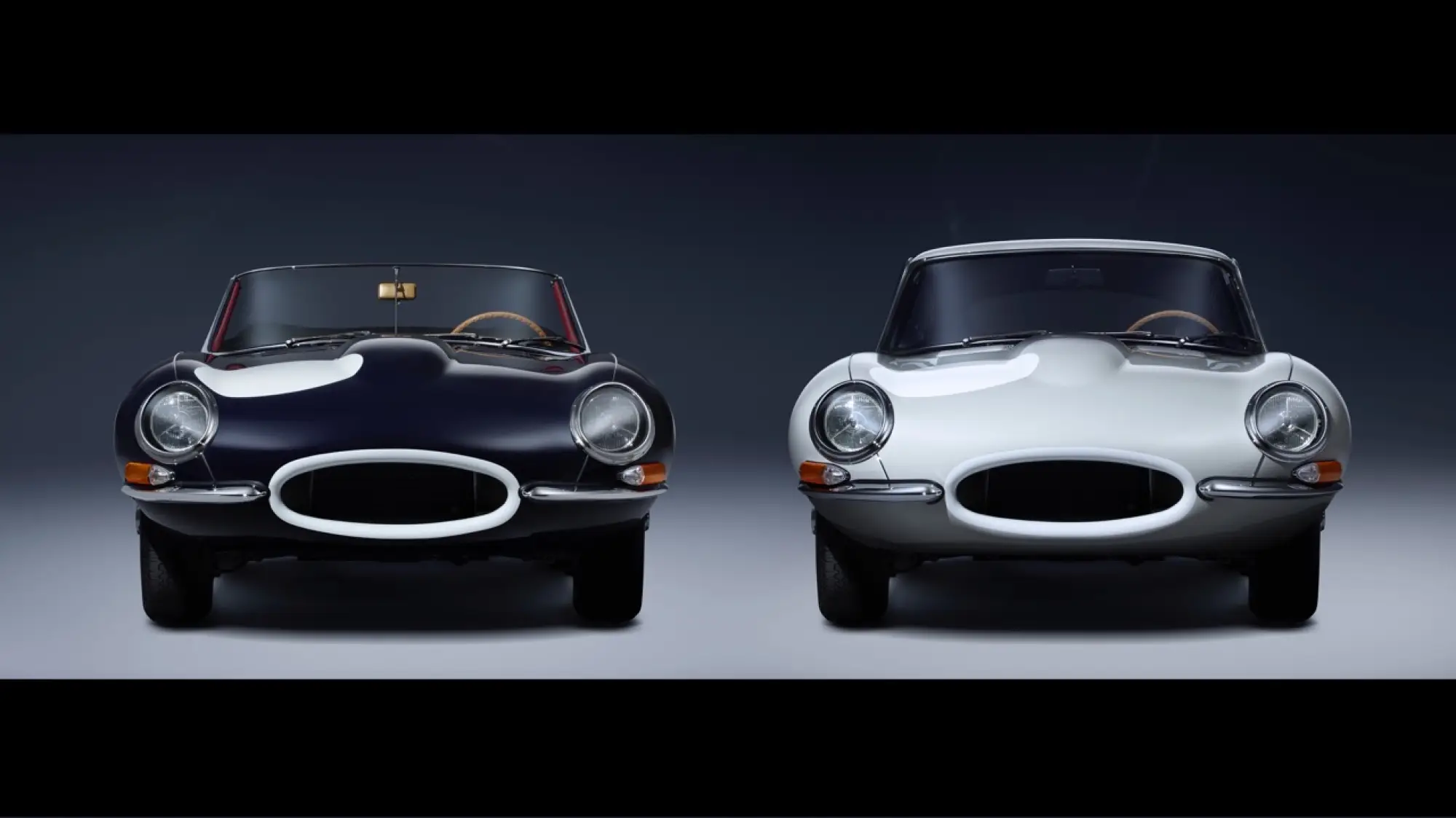 Jaguar ZP Collection - 3