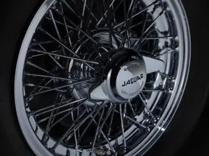 Jaguar ZP Collection