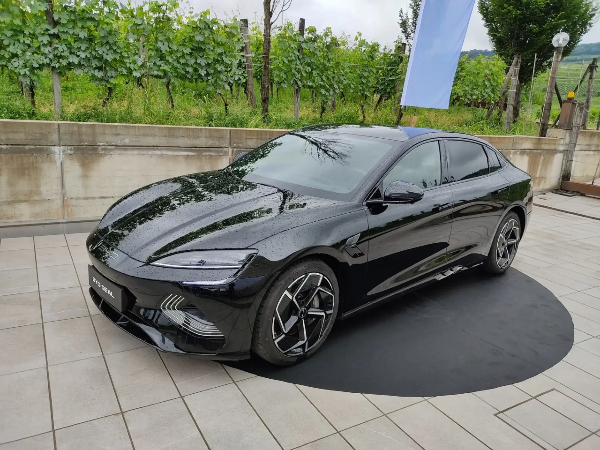 BYD - Gamma Italia 2023 - 4