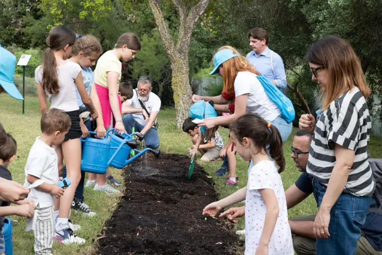 Toyota - Green Month Campaign 2023 - 4
