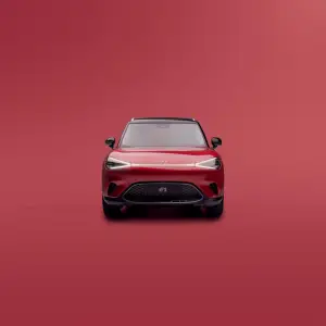 Smart 25 anni - 10