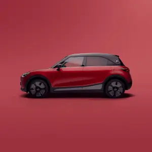 Smart 25 anni - 12