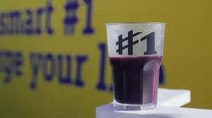 Smart 1 Summer Recharge Tour - 17