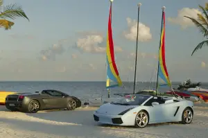 Lamborghini Gallardo - 20 anni - 17