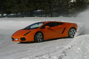 Lamborghini Gallardo - 20 anni - 43