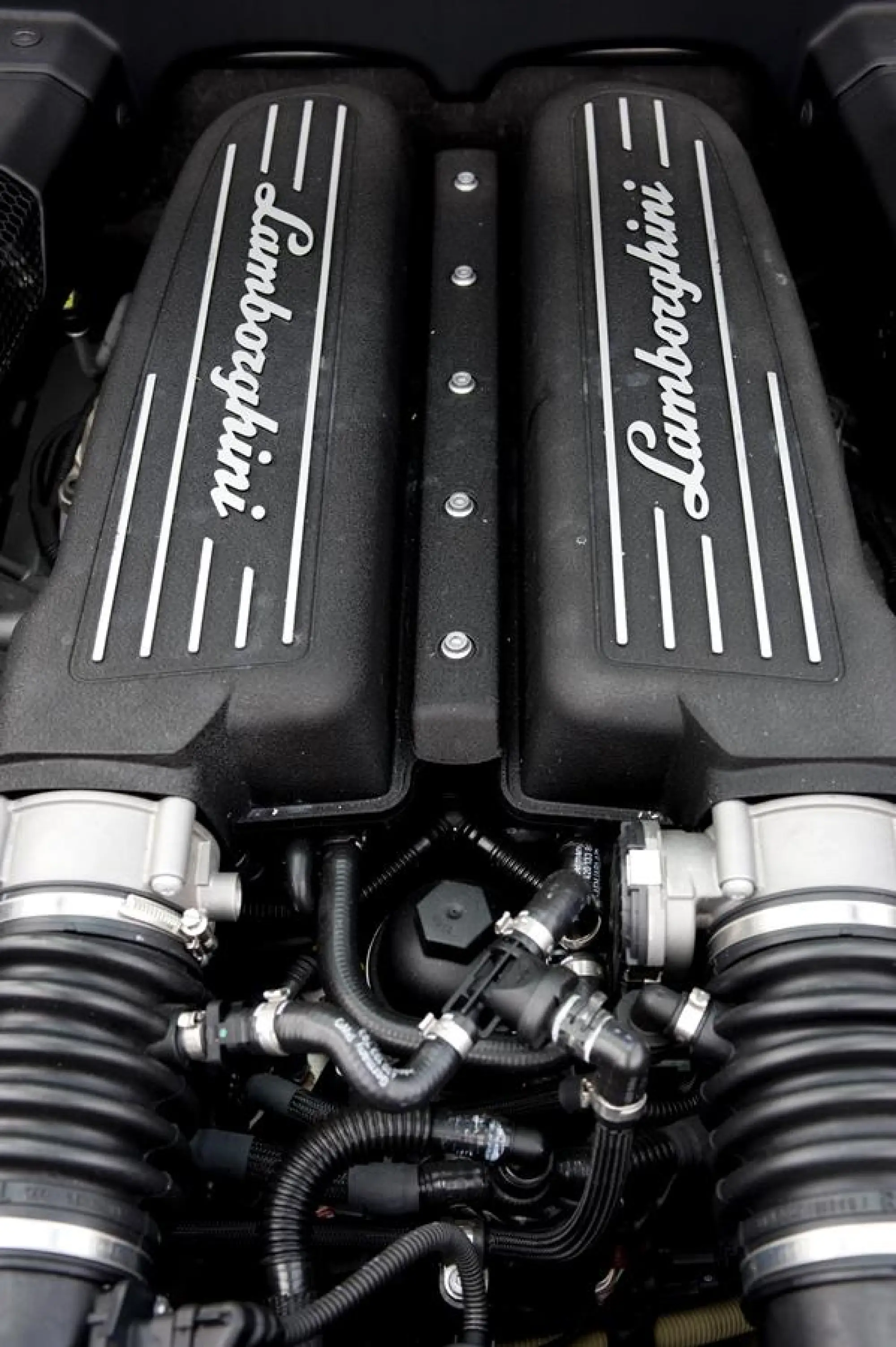 Lamborghini Gallardo - 20 anni - 51