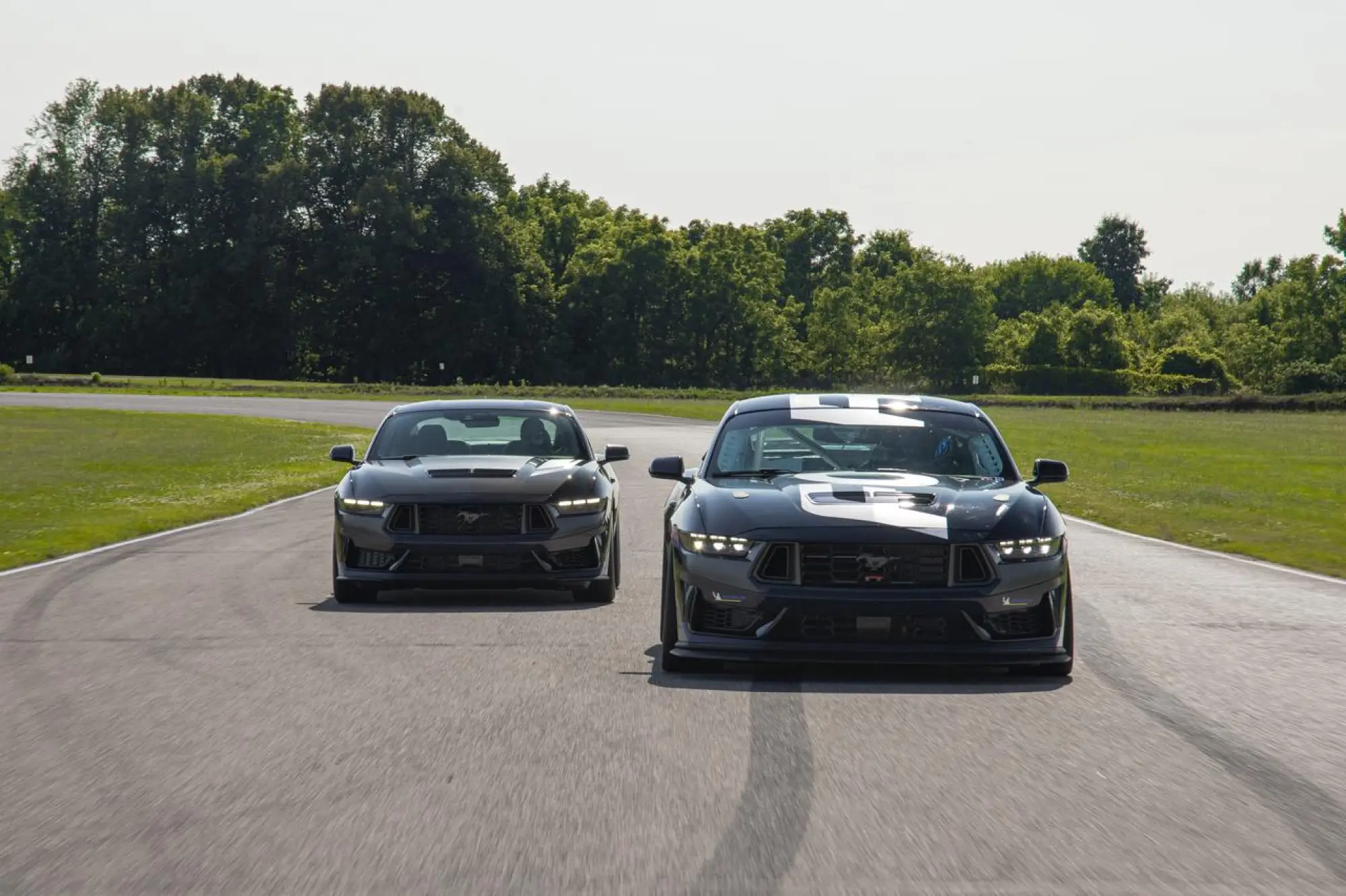 Ford Mustang Dark Horse R - 6