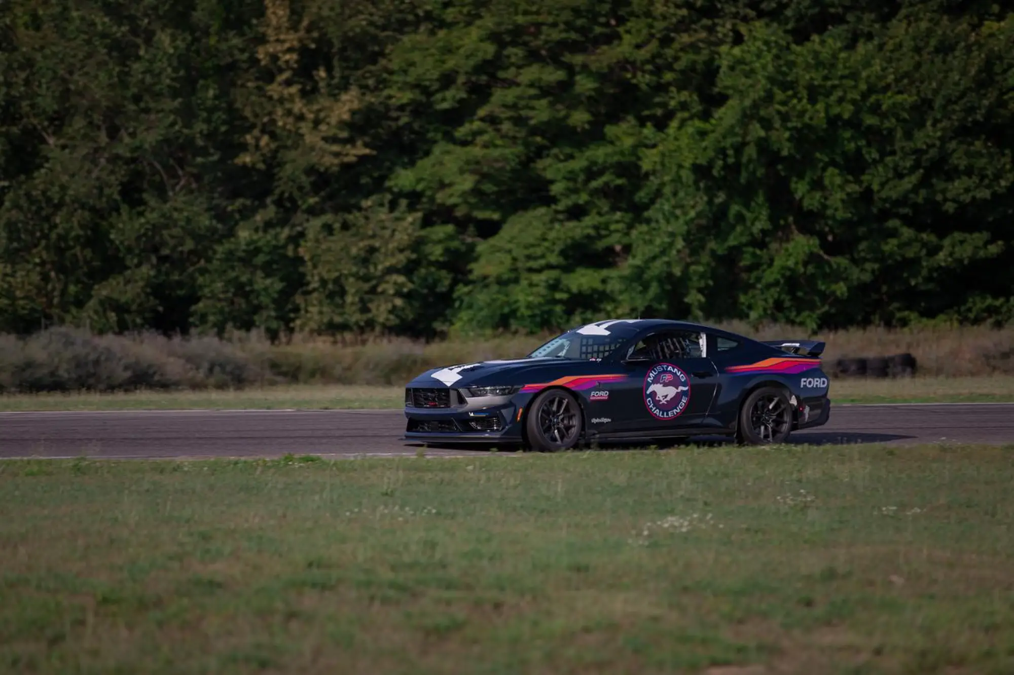 Ford Mustang Dark Horse R - 16