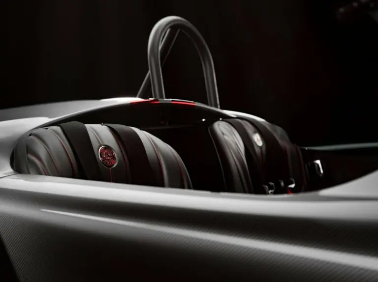 Shelby Cobra Diamond Edition - 9