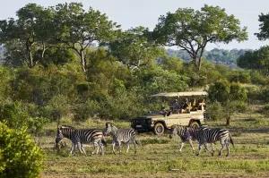 Ineos Grenadier Safari