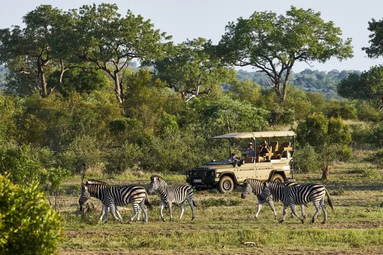 Ineos Grenadier Safari - 5