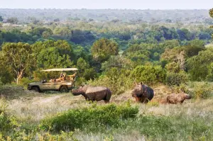 Ineos Grenadier Safari