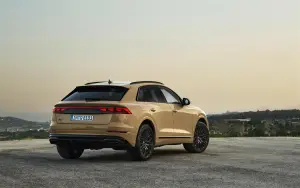 Audi Q8 2023 - 17