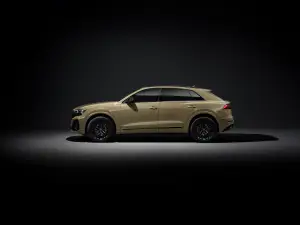 Audi Q8 2023 - 13