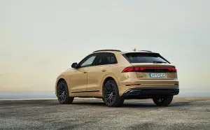 Audi Q8 Restyling 2024 - 51