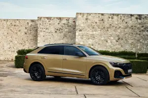 Audi Q8 Restyling 2024 - 60
