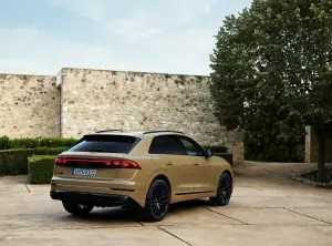 Audi Q8 Restyling 2024 - 57