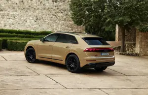 Audi Q8 Restyling 2024 - 68